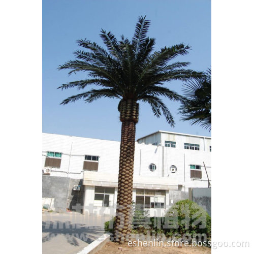artificial phoenix canariensis palms tree,artificial date palm tree